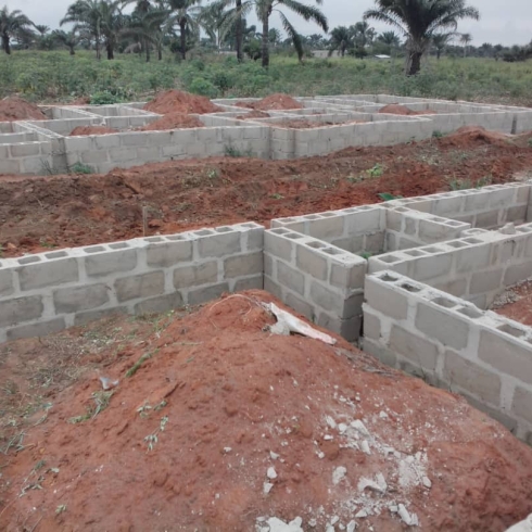 WhatsApp Image 2025-02-17 at 3.41.00 AM (2)