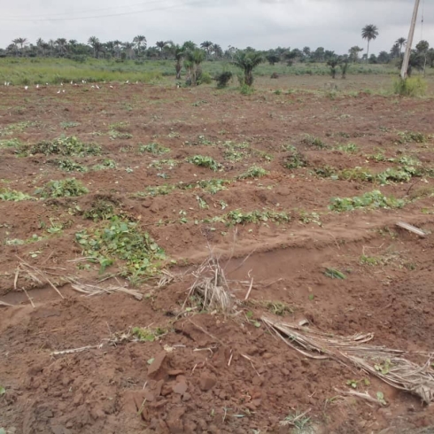 WhatsApp Image 2025-02-17 at 3.41.01 AM (1)