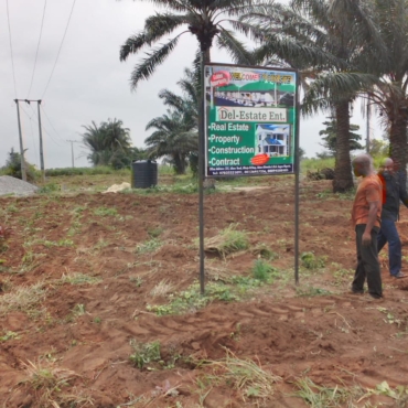 WhatsApp Image 2025-02-17 at 3.41.09 AM (1)