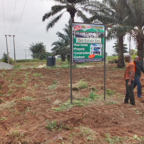 WhatsApp Image 2025-02-17 at 3.41.09 AM (1)