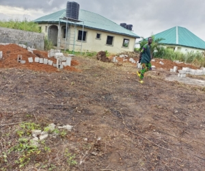 WhatsApp Image 2025-02-25 at 12.18.36 AM