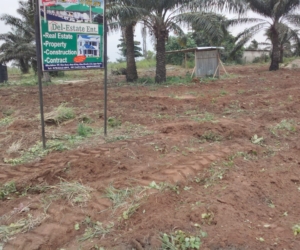 WhatsApp Image 2025-02-25 at 12.18.37 AM