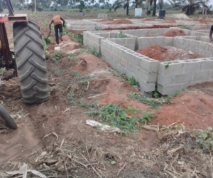 WhatsApp Image 2025-02-25 at 12.18.38 AM