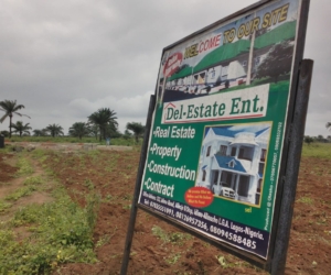 WhatsApp Image 2025-02-25 at 12.18.40 AM