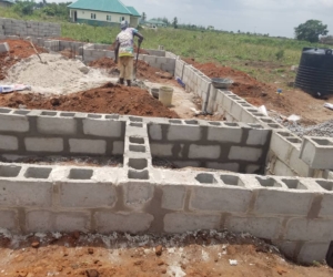 WhatsApp Image 2025-02-25 at 12.18.42 AM