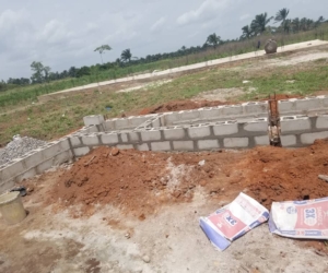 WhatsApp Image 2025-02-25 at 12.18.43 AM (1)