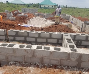 WhatsApp Image 2025-02-25 at 12.18.43 AM (2)