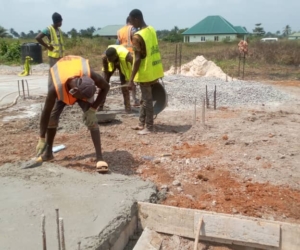 WhatsApp Image 2025-02-25 at 12.18.44 AM (1)