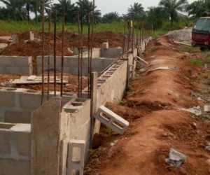 WhatsApp Image 2025-02-25 at 12.18.46 AM