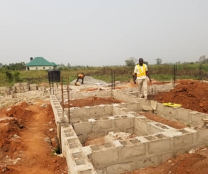 WhatsApp Image 2025-02-25 at 12.18.47 AM