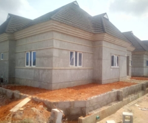 WhatsApp Image 2025-02-25 at 12.18.48 AM (1)