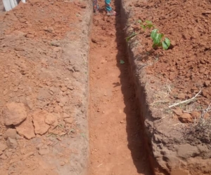 WhatsApp Image 2025-02-25 at 12.18.49 AM (1)