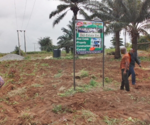 WhatsApp Image 2025-02-25 at 12.18.50 AM (1)