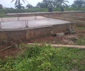 WhatsApp Image 2025-02-25 at 12.18.50 AM