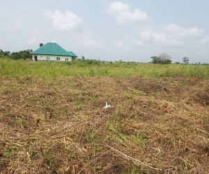 WhatsApp Image 2025-02-25 at 12.19.23 AM (1)